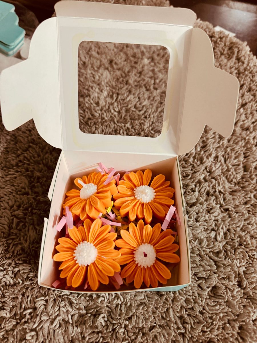 Daisy set of 4 in open packing