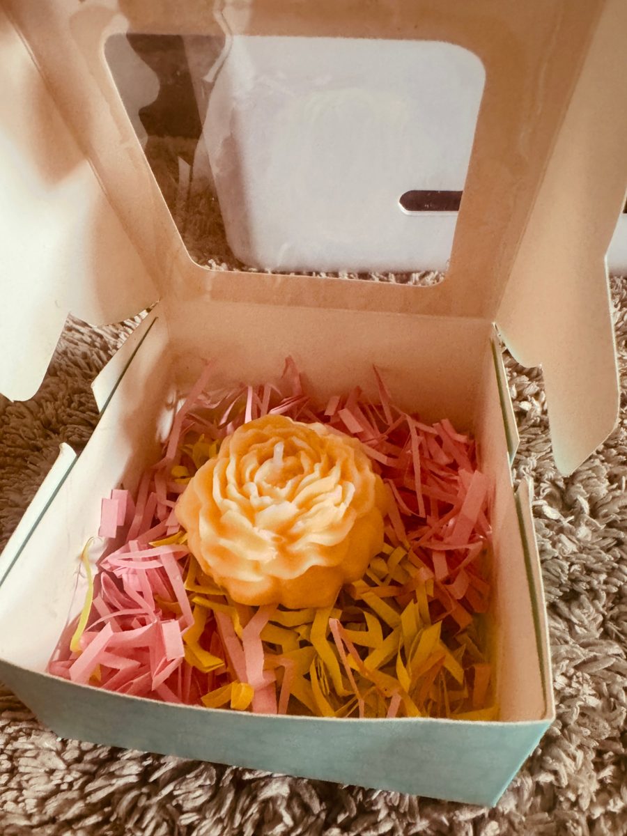 Single peach peony in packing