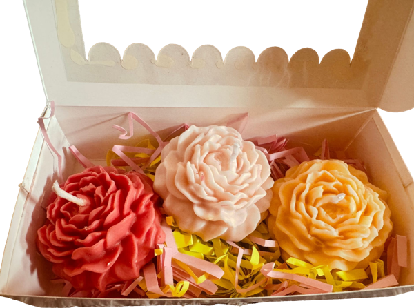 Peony trio packing colour preview
